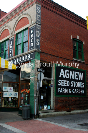 Market 079
