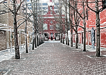 Market 131-cp